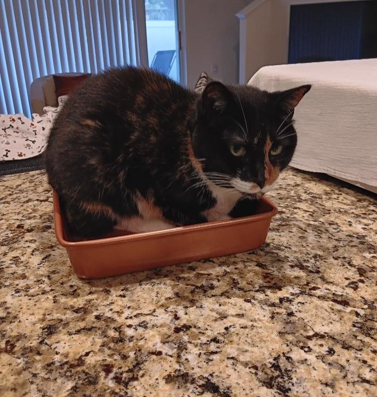 image-20230525173752-3