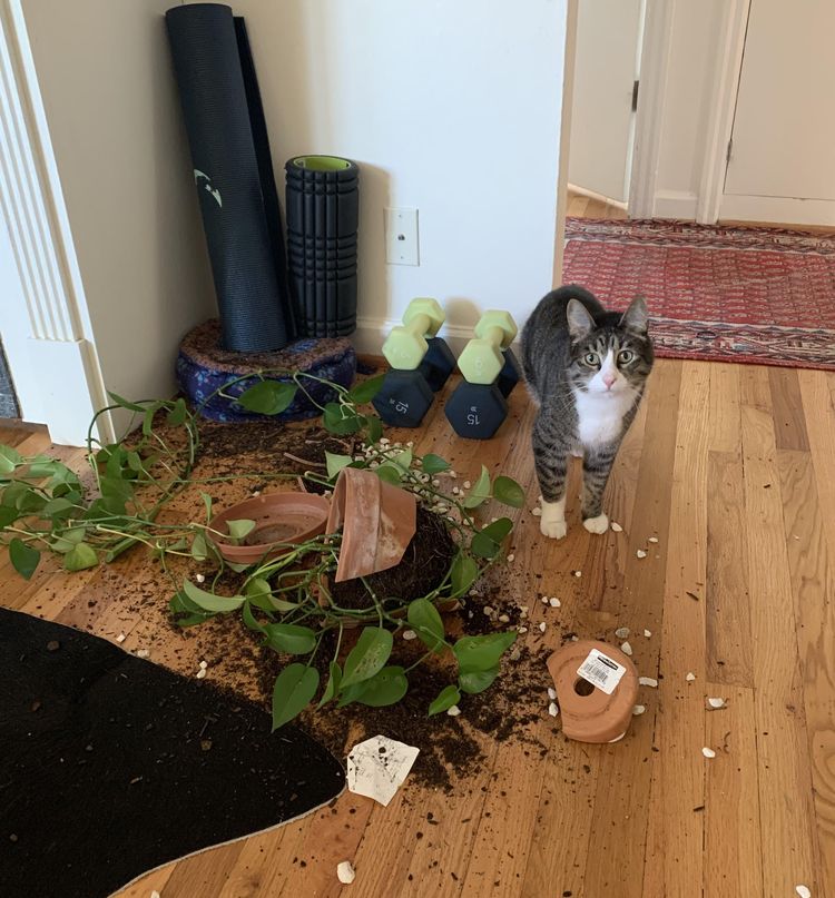 image-20230525173811-5