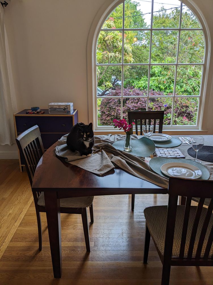 image-20230525173822-8