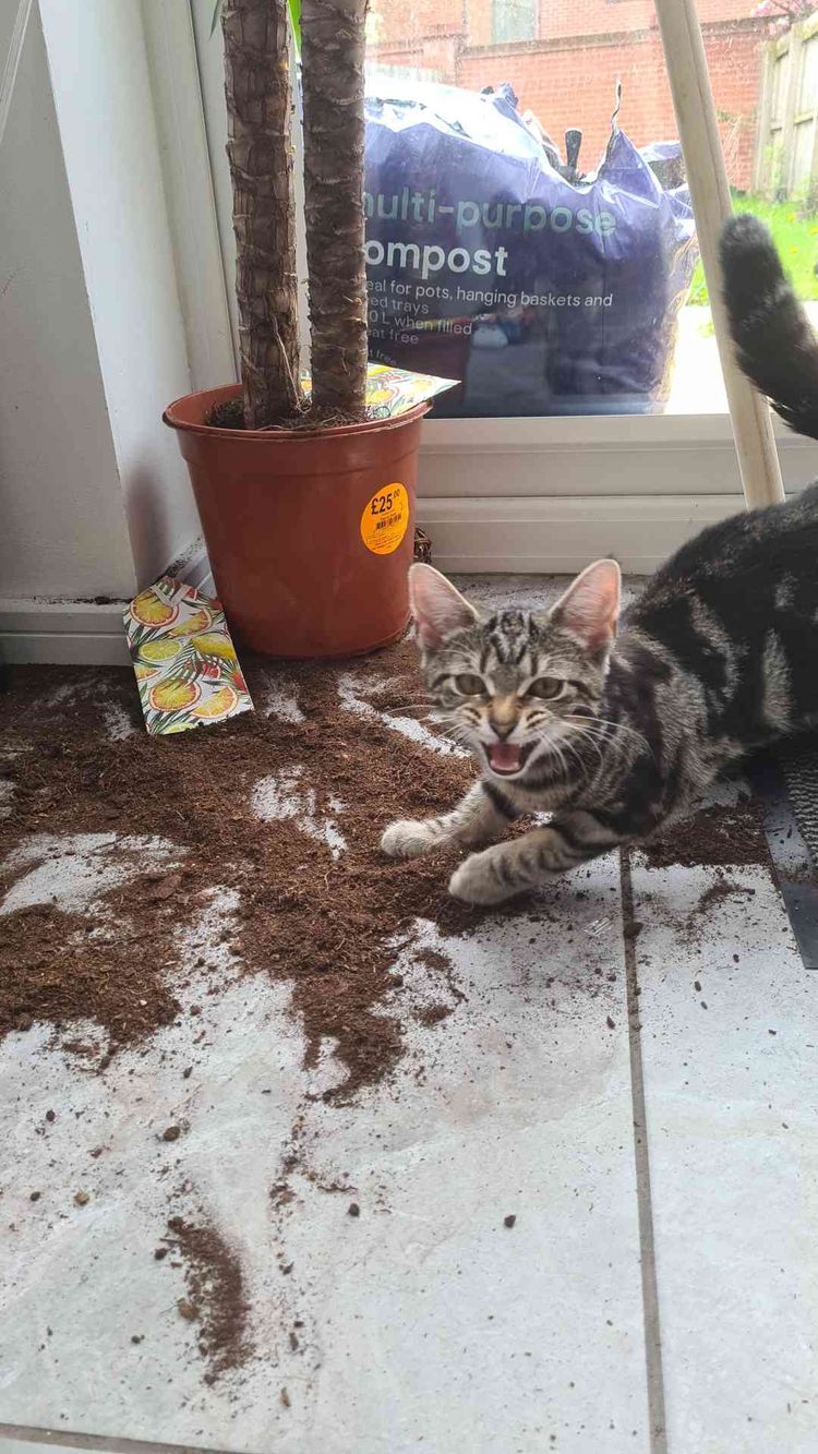 image-20230525173826-9