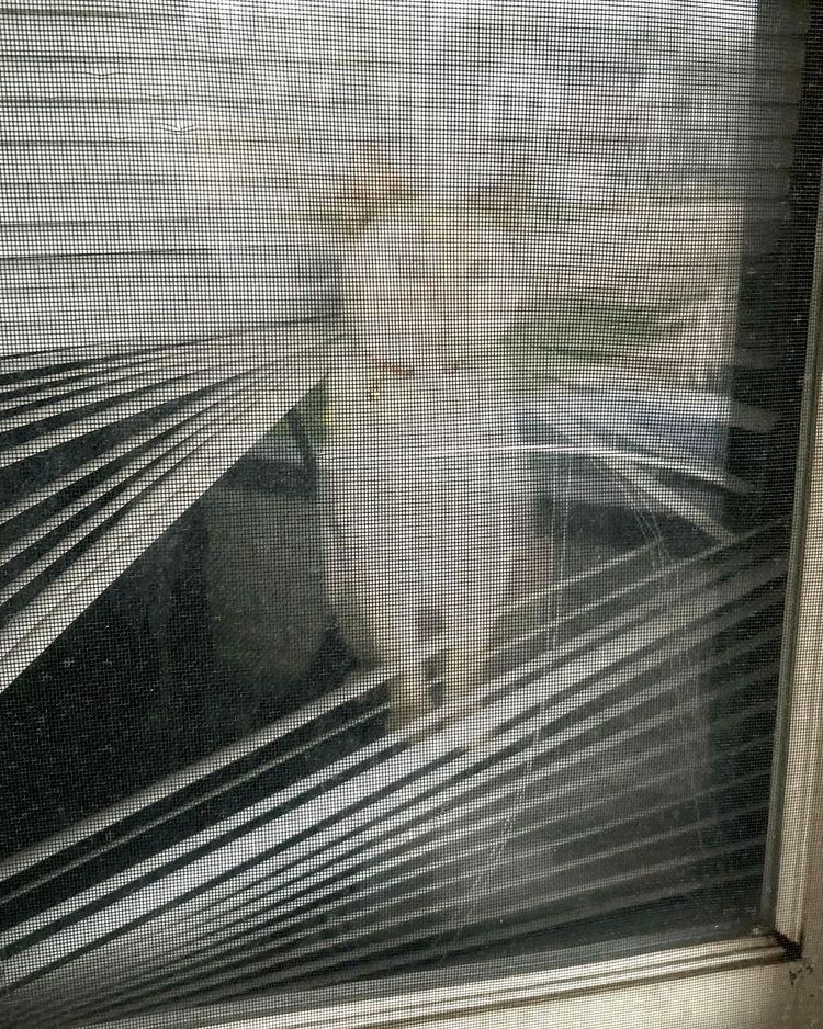 image-20230525173831-10