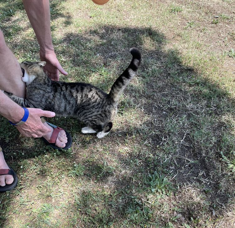 image-20230525173834-11