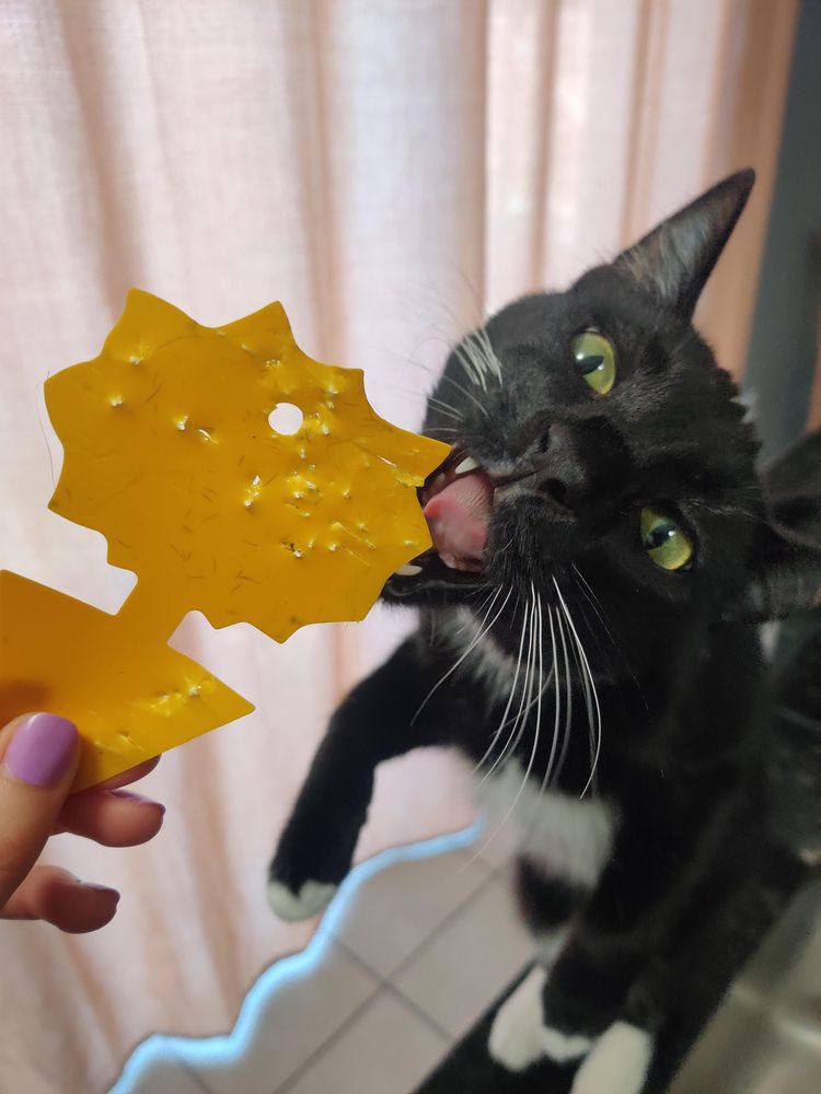 image-20230525173843-13