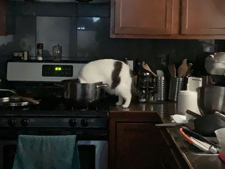 image-20230525173845-14