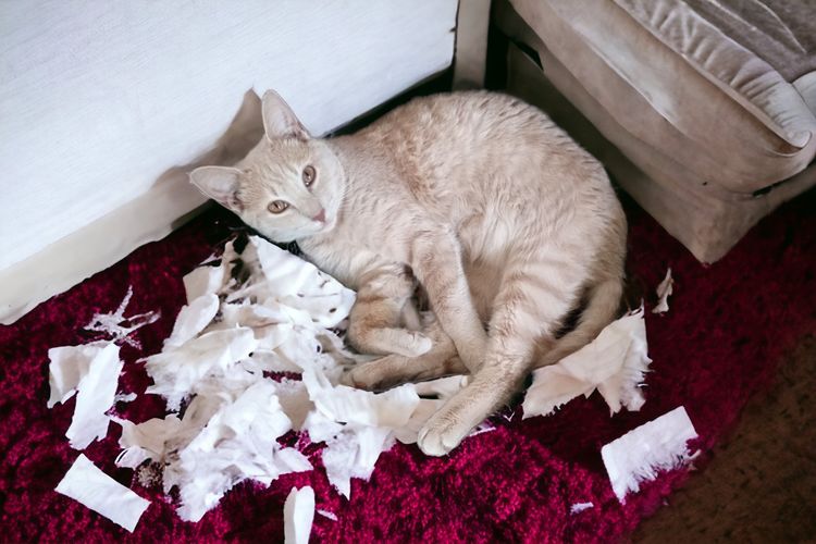 image-20230525173848-15