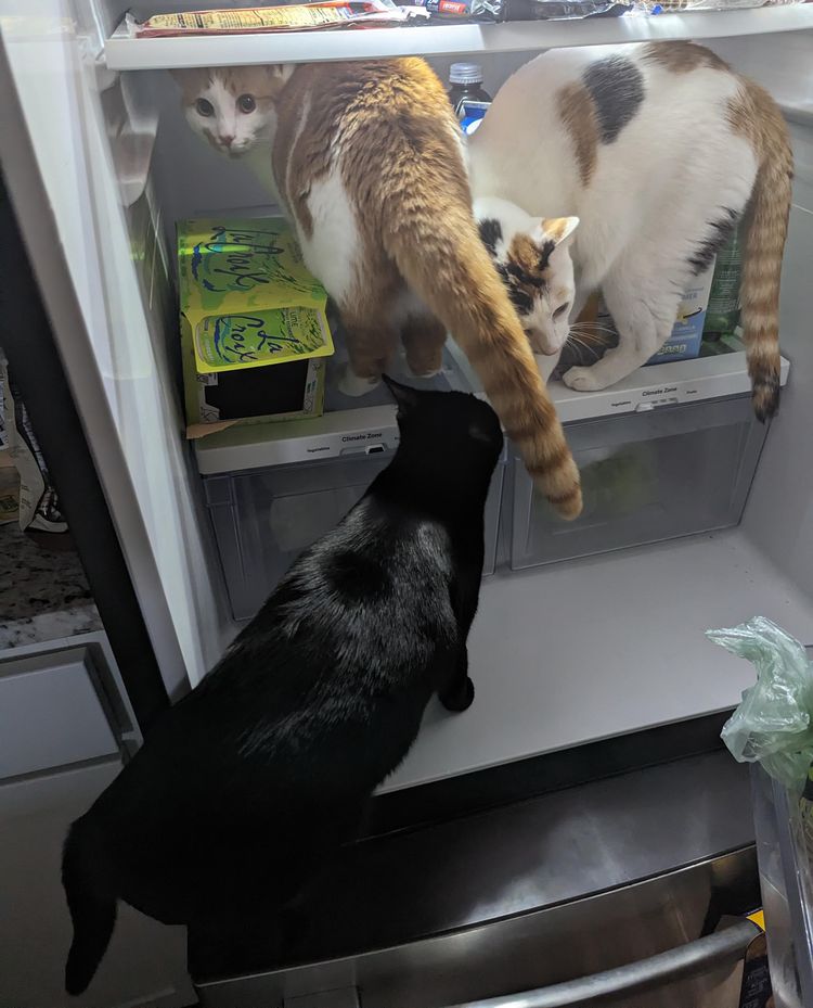 image-20230525173851-16