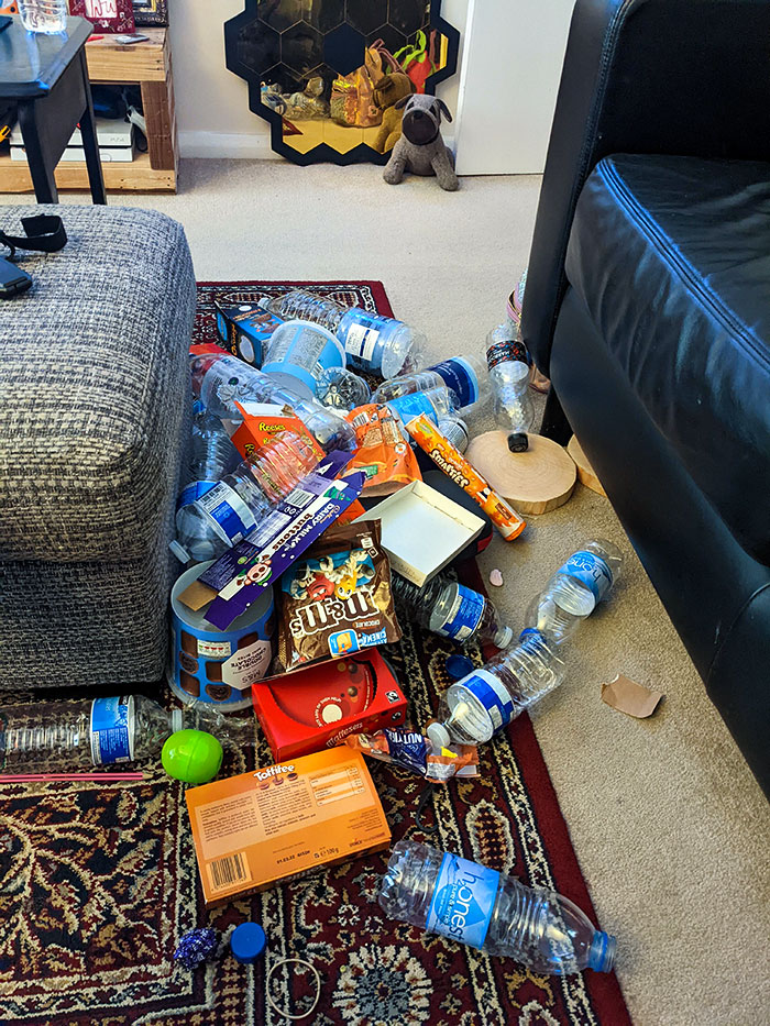 image-20230526122335-4