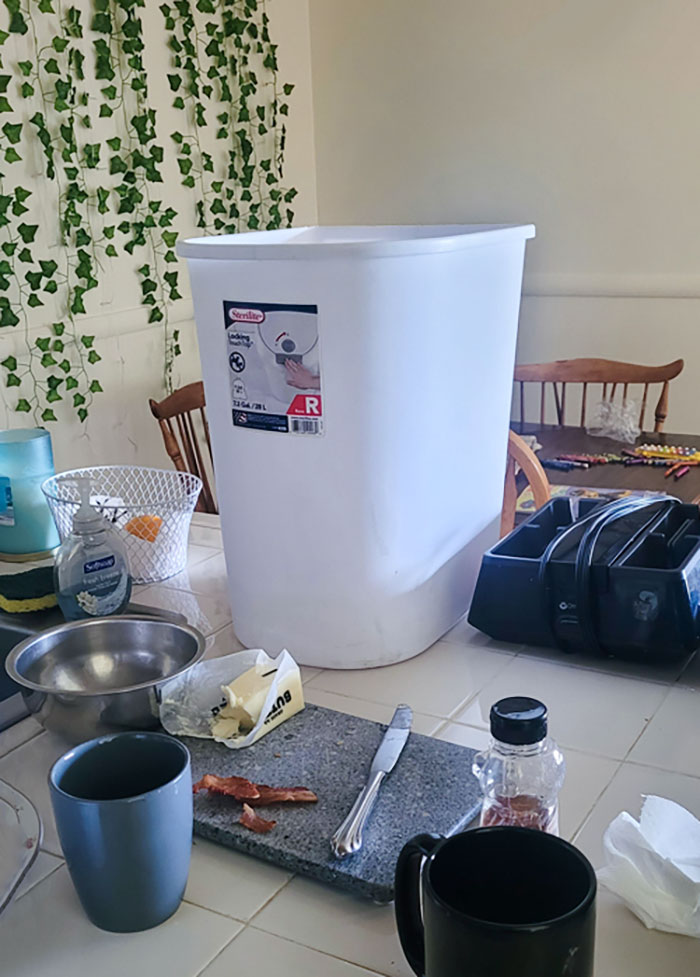 image-20230526122406-13