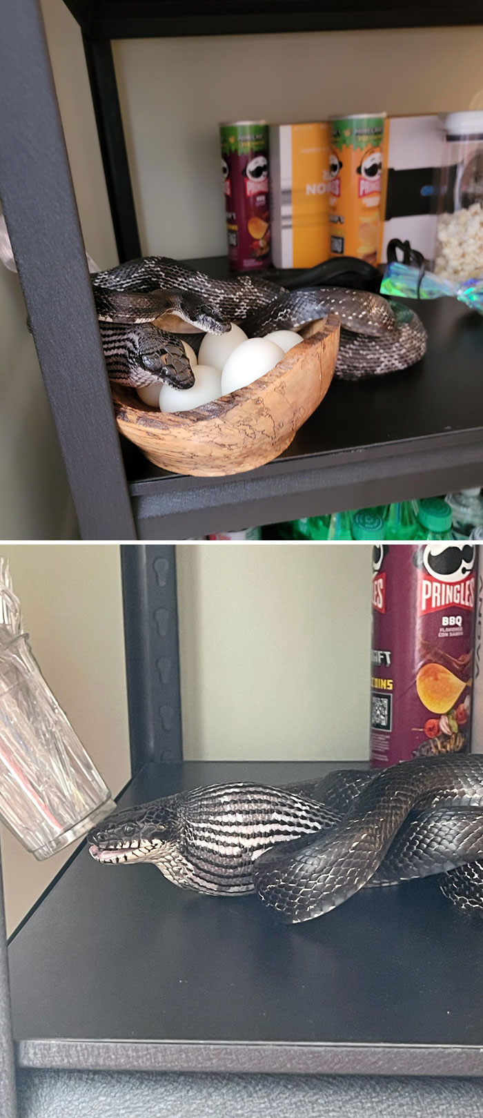 image-20230526162249-2