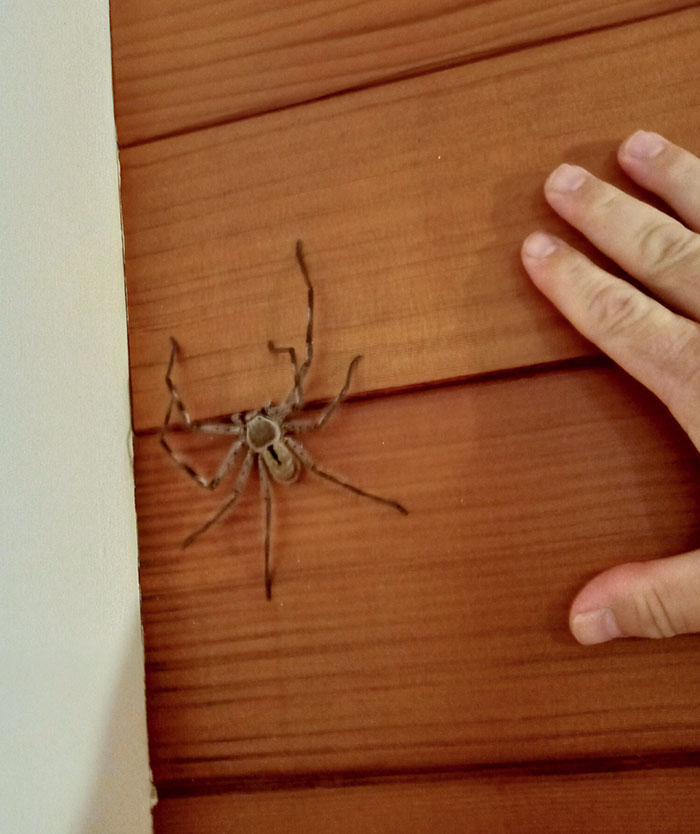 image-20230526162320-9