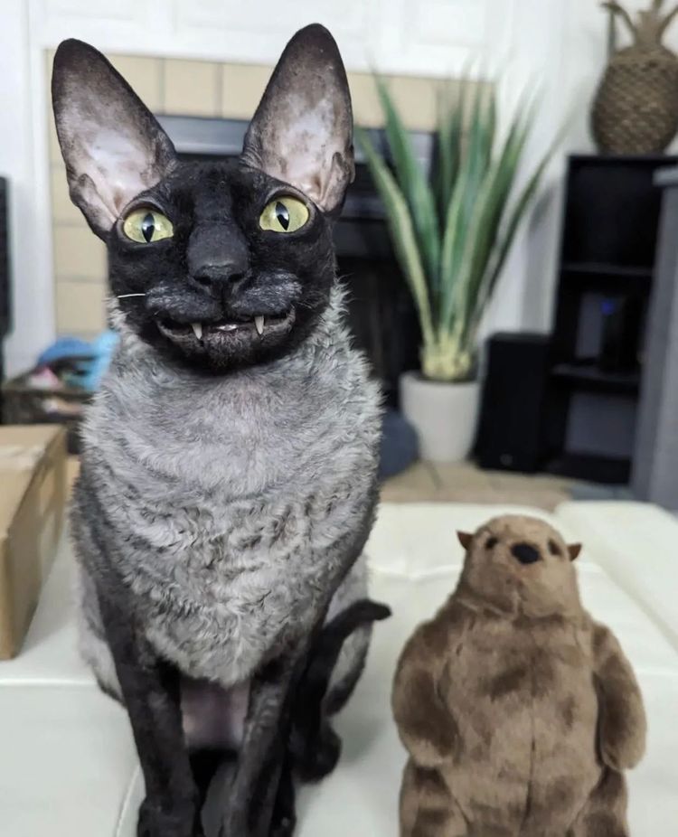 image-20230526162513-14