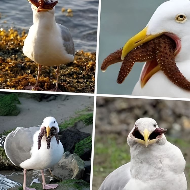 image-20230526162530-17