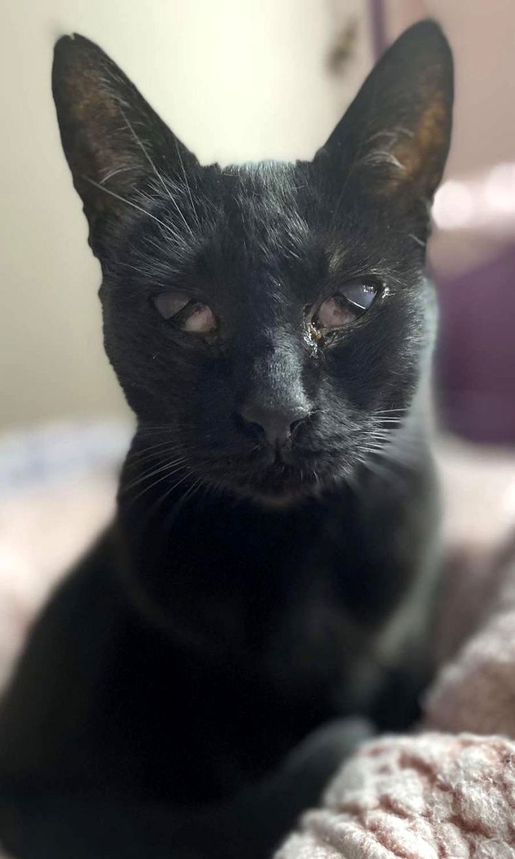 image-20230526162534-18