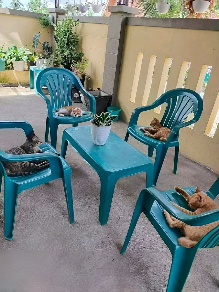 image-20230529165634-5