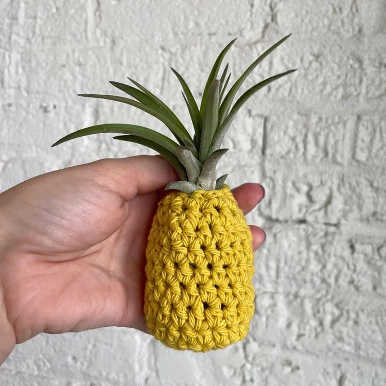 image-20230529200111-9