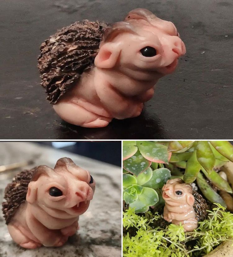 image-20230529200707-13