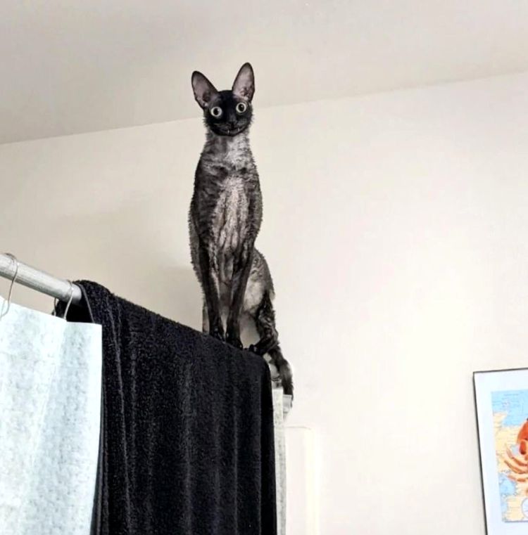 image-20230530162445-1