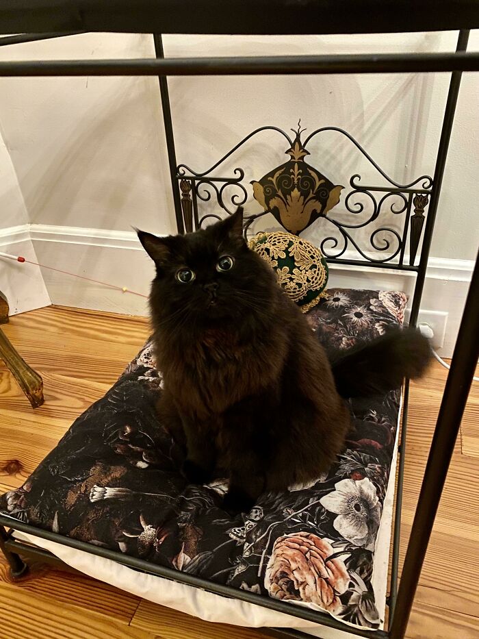 image-20230530171435-11