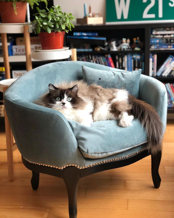 image-20230530171439-12