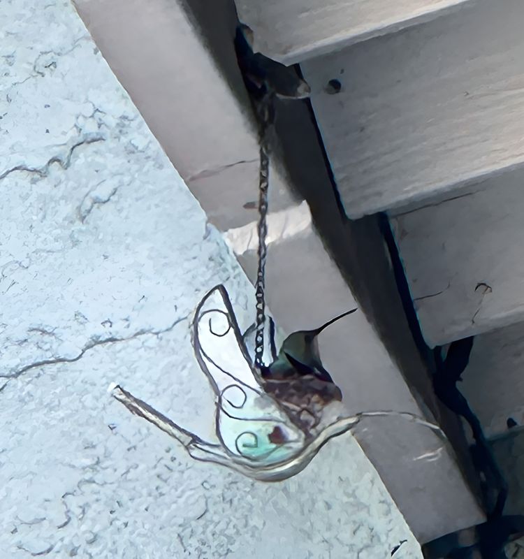 image-20230531120544-6