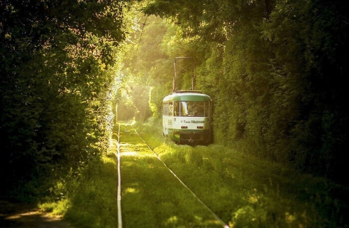 image-20230531142358-8