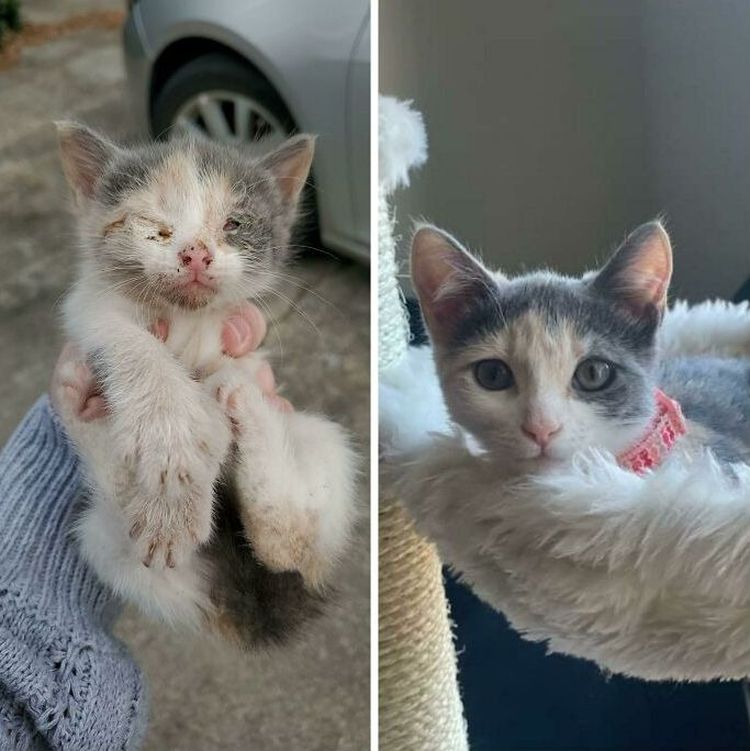 image-20230601140848-2