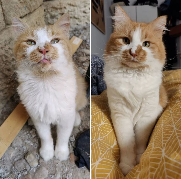 image-20230601140851-3