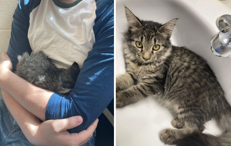 image-20230601140858-5