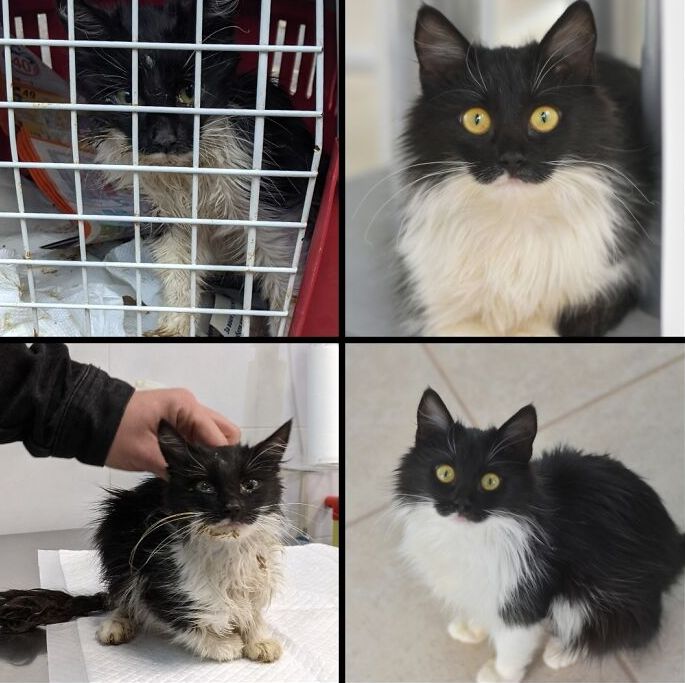 image-20230601140908-8