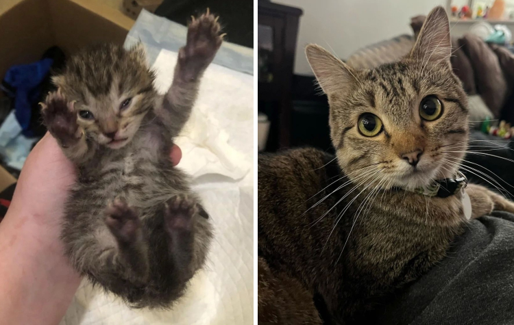 image-20230601140915-10