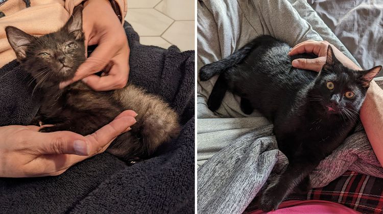 image-20230601140920-11