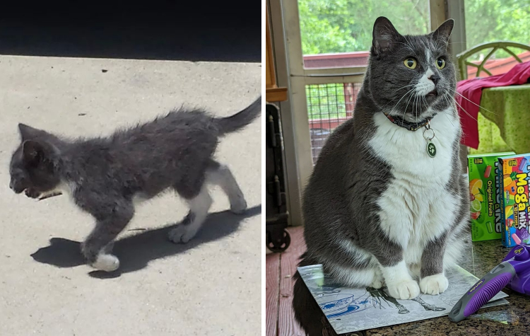 image-20230601140926-13