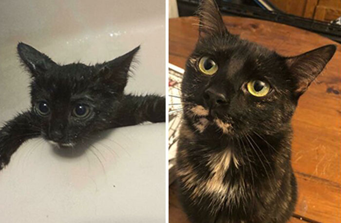 image-20230601140934-15