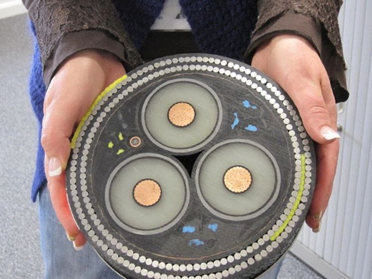 image-20230601201555-4