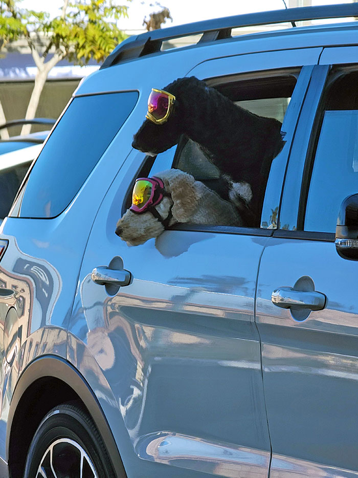 image-20230605123907-11