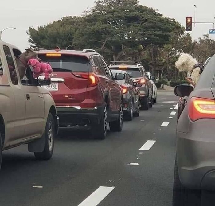 image-20230605123926-16