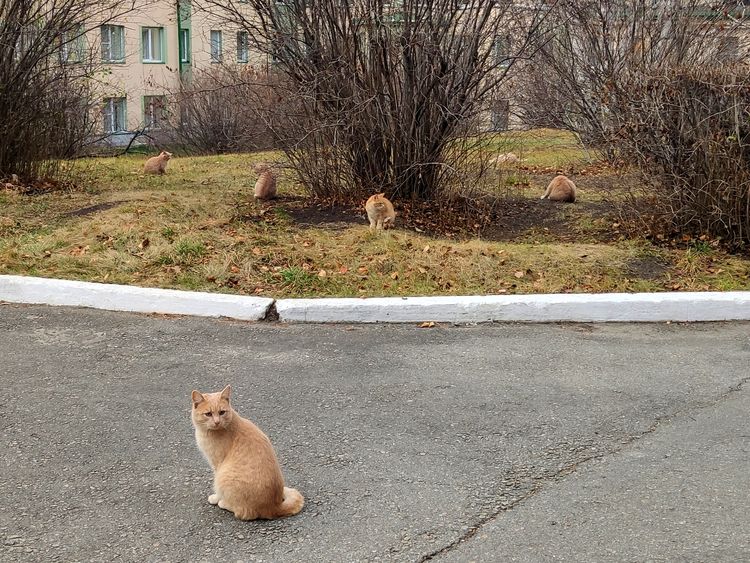 image-20230605151251-1