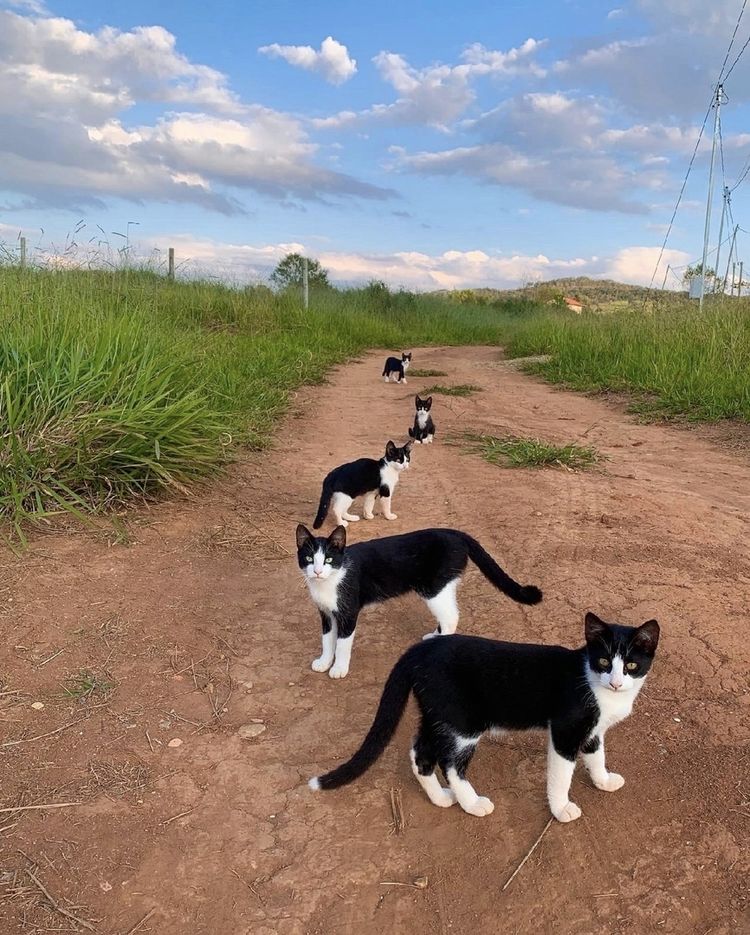 image-20230605151310-7