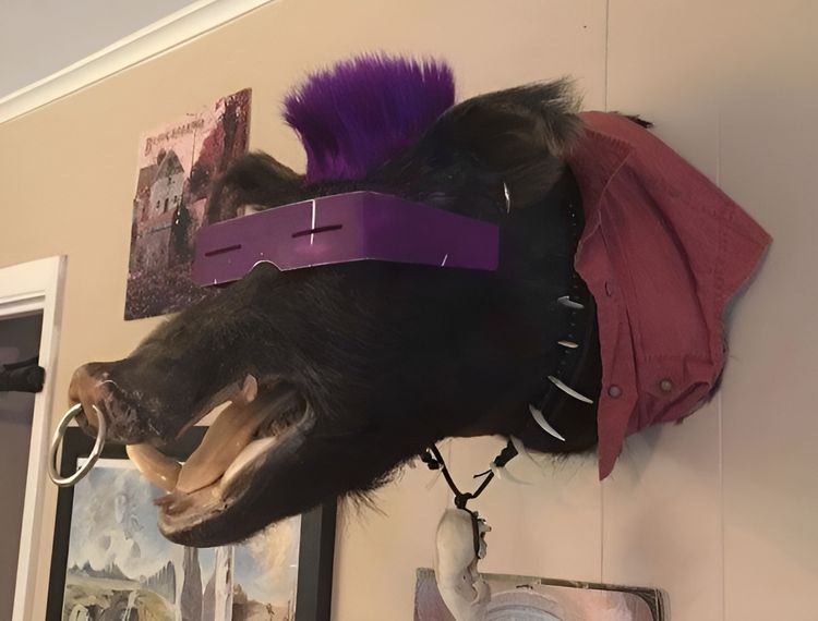 image-20230606204252-14