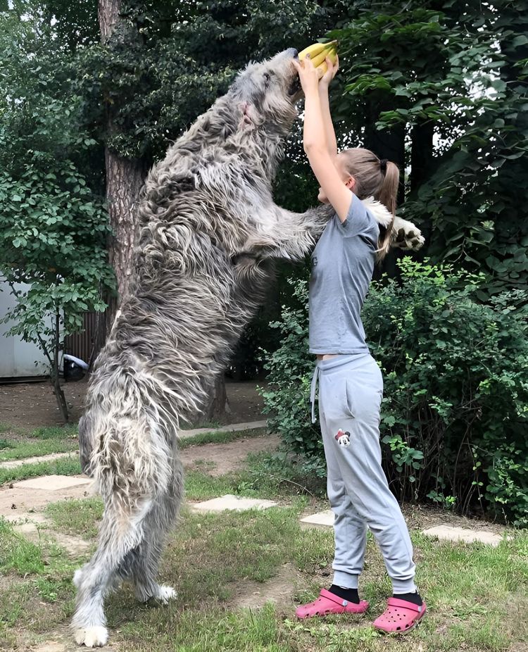 image-20230607152806-2