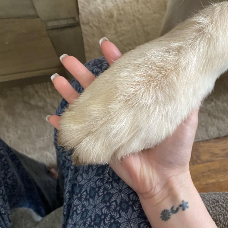 image-20230607152956-4