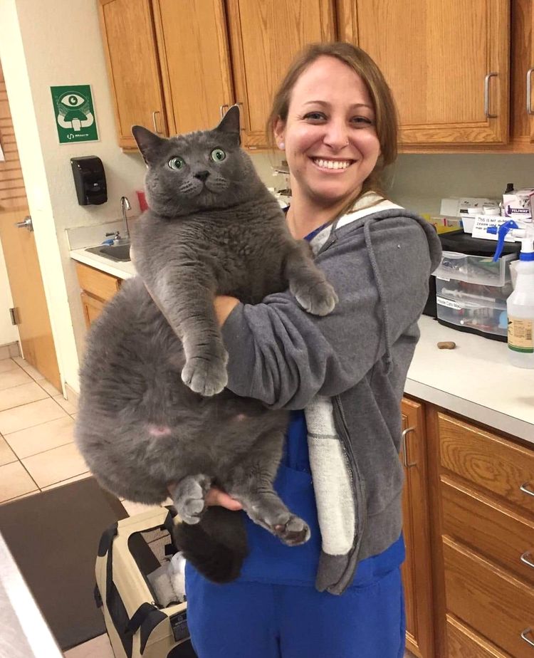 image-20230607153006-7