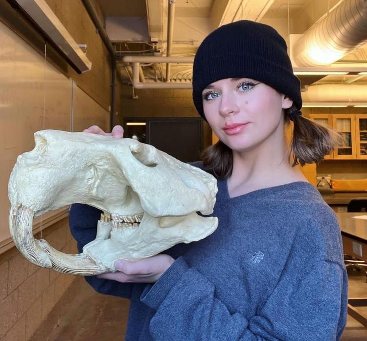 image-20230607153013-9