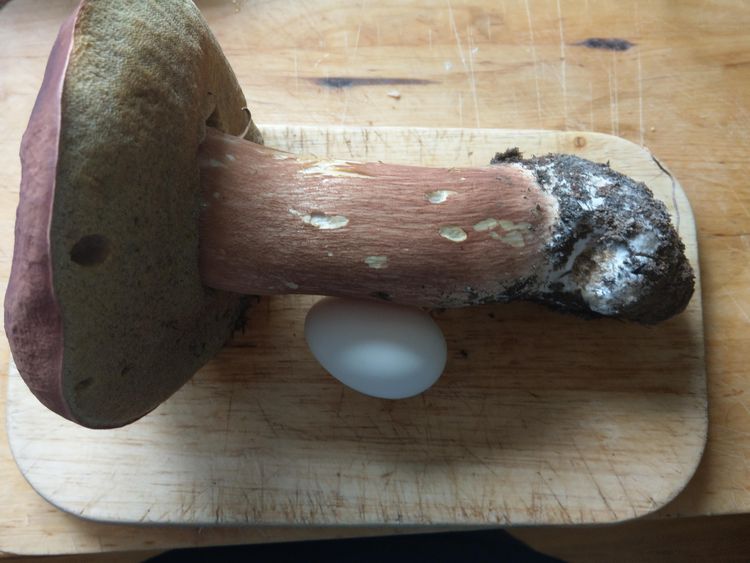 image-20230607153035-16