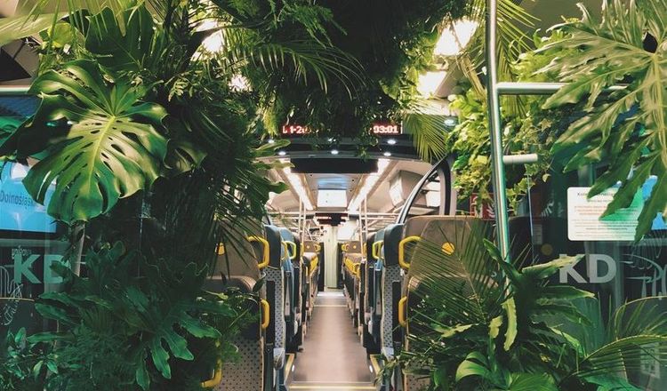 image-20230608132158-1