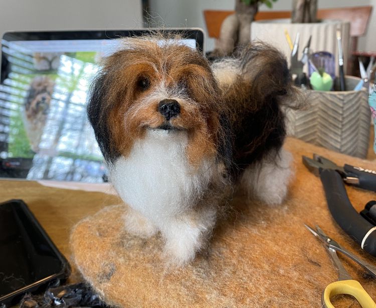 image-20230608151633-15