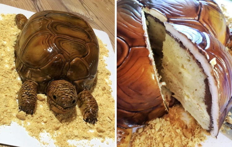 image-20230609105650-11