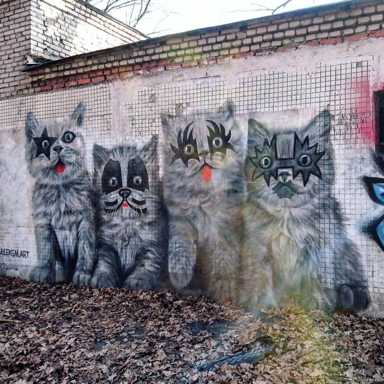 image-20230613131344-6