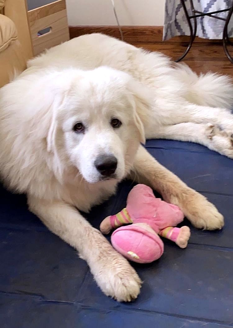 image-20230613135955-2