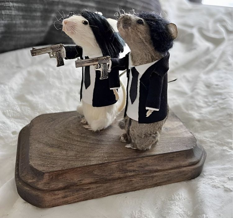 image-20230613162336-14